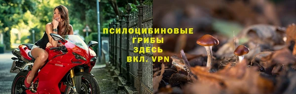 прущие грибы Алексеевка
