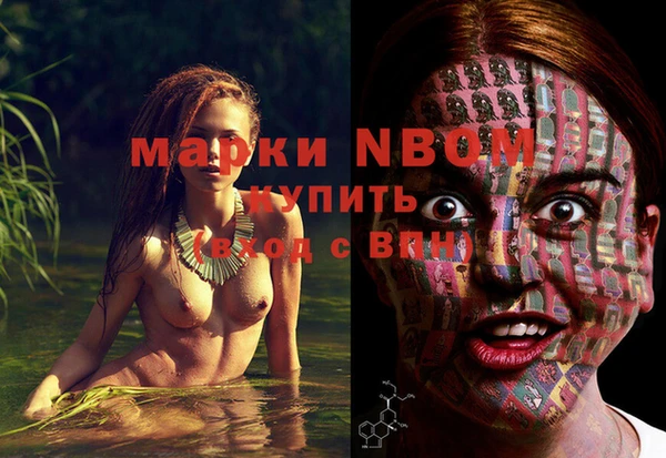 сатива Алексин