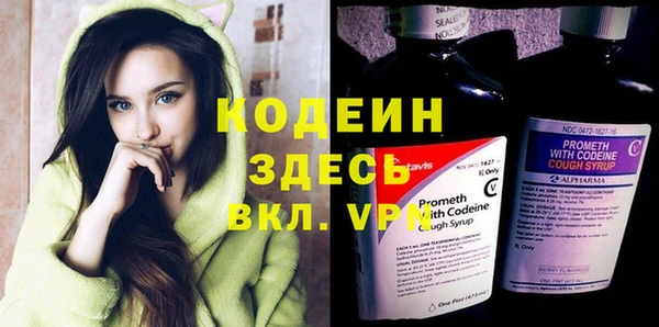 прущие грибы Алексеевка