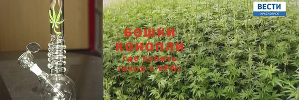каннабис Алзамай